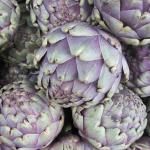 Globe artichokes