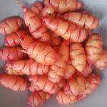 Harvested and washed oca